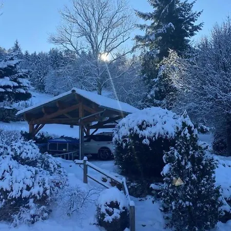Avec Sauna Privatif Et Cheminee - Fr-1-496-372 * Saint-Jean-la-Vetre